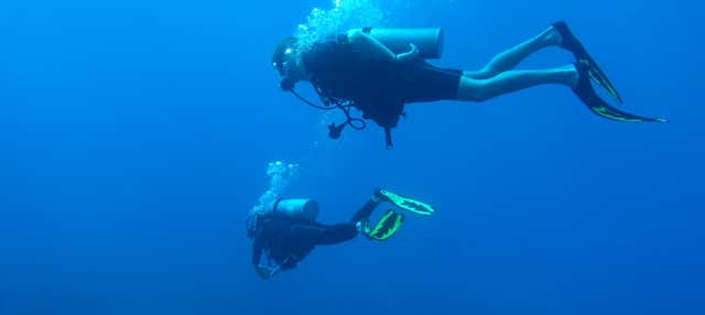 Immersione per principianti a Ixtapa Zihuatanejo