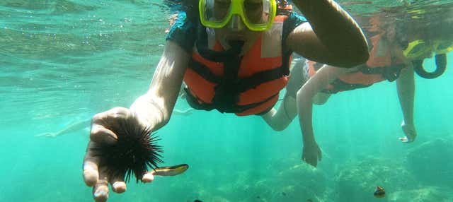 Snorkeling nella spiaggia di Las Gatas