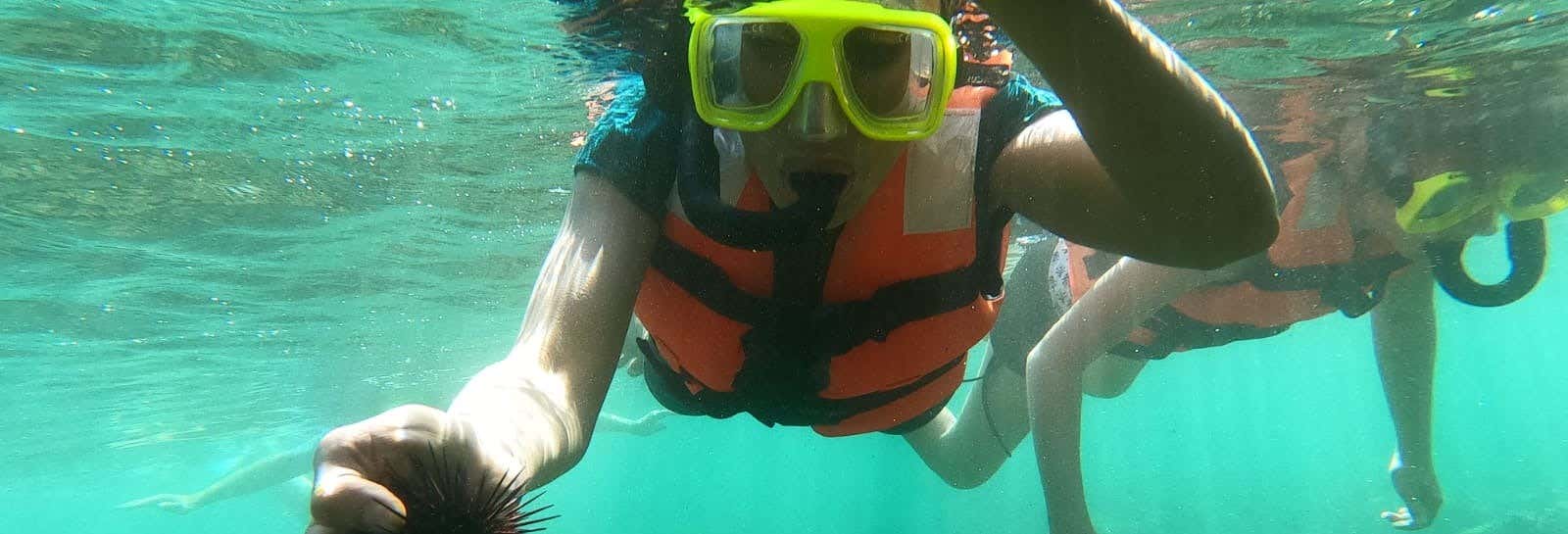 Snorkeling at Las Gatas Beach