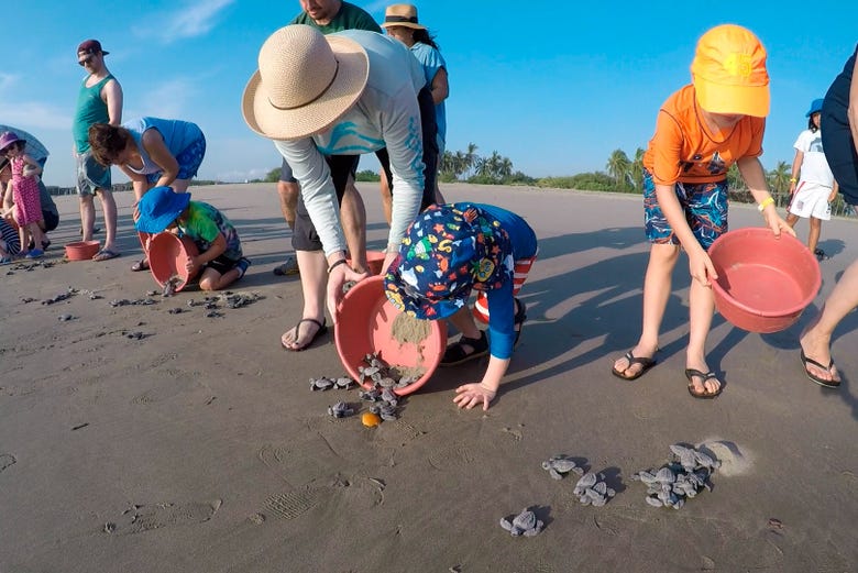 Liberación de tortugas en Ixtapa Zihuatanejo