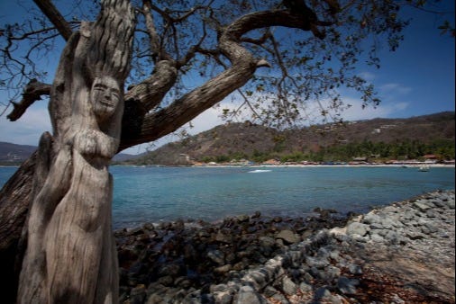 Excursión a la playa Las Gatas