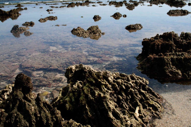 Excursión a la isla de Ixtapa