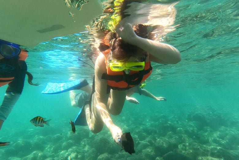 Snorkel en la playa Las Gatas