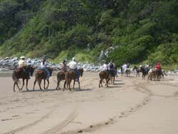 Paseo a caballo por Ixtapa Zihuatanejo