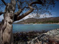 Excursión a la playa Las Gatas