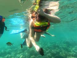 Snorkel en la playa Las Gatas