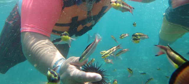 Kayak e snorkeling nella baia di Zihuatanejo