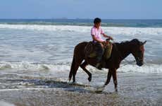 Ixtapa Zihuatanejo Horse Riding