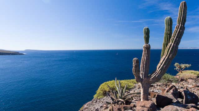 La Paz