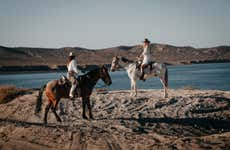 Passeio a cavalo pelo deserto e pela praia El Coyote