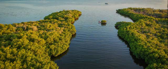 Balade en kayak dans les mangroves du Mogote