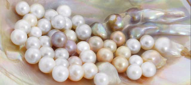 Visita a un centro di coltura delle perle