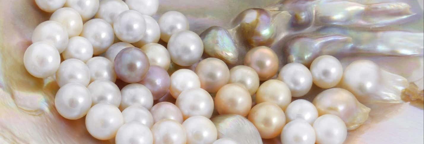 Visita a un centro di coltura delle perle