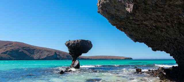 Tour por La Paz e pela praia Balandra