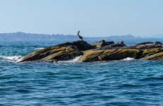 Coronado Island Trip