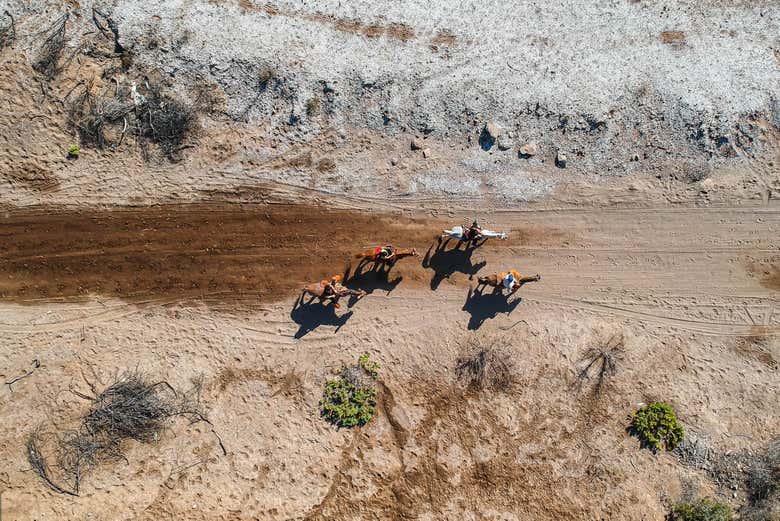 Paseo a caballo por el desierto de Baja California