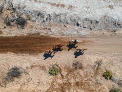 Paseo a caballo por el desierto de Baja California
