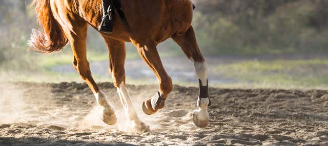 Passeggiata a cavallo nel deserto della Bassa California