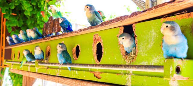 Biglietti per Canyon’s Kingdom Experience e Aqua Park