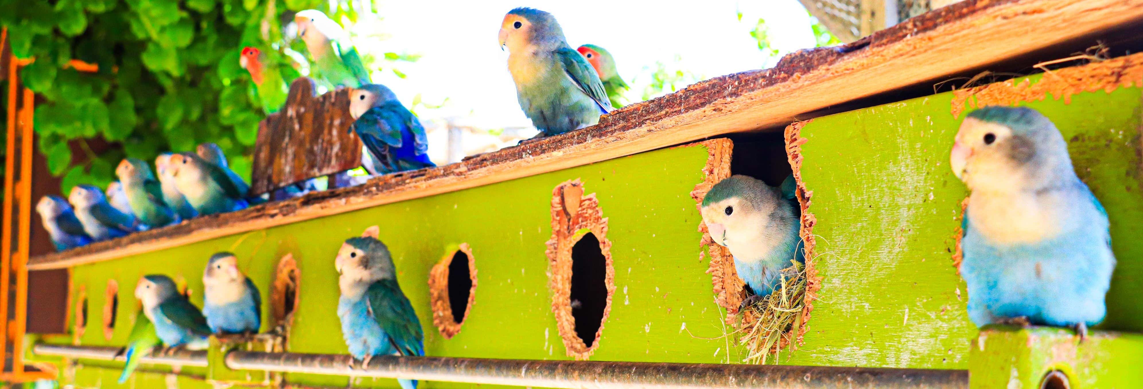 Biglietti per Canyon’s Kingdom Experience e Aqua Park