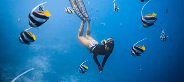 Escursione privata da Los Cabos