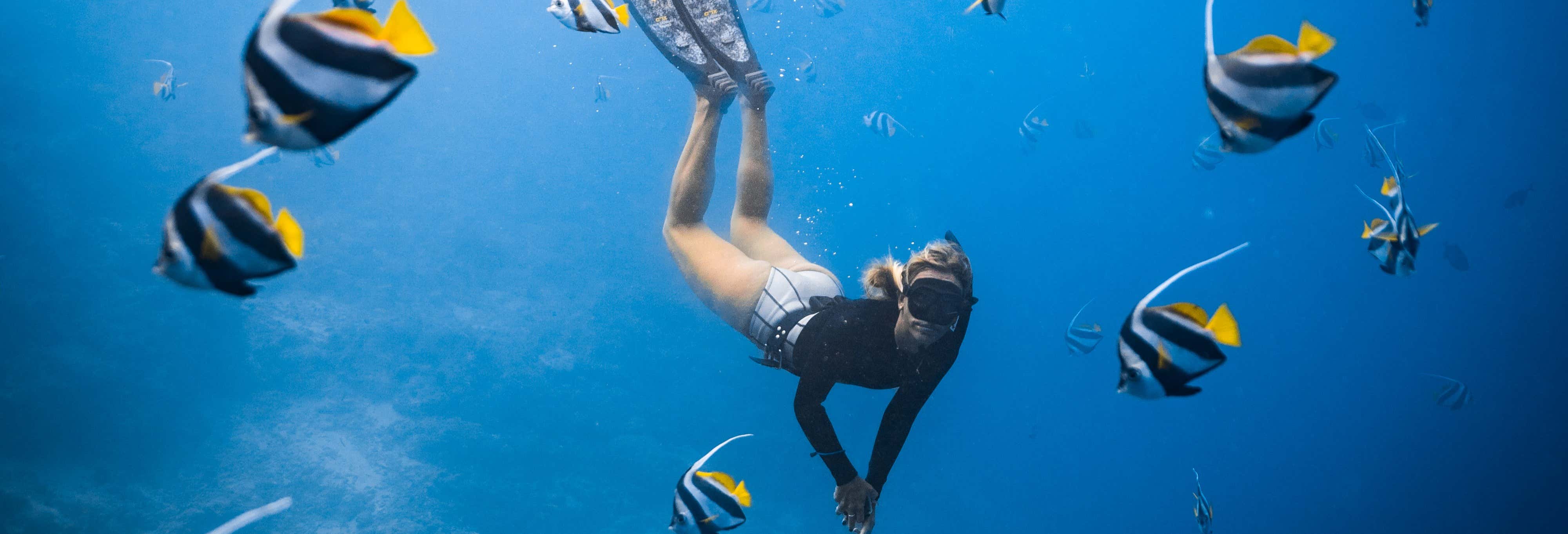 Escursione privata da Los Cabos