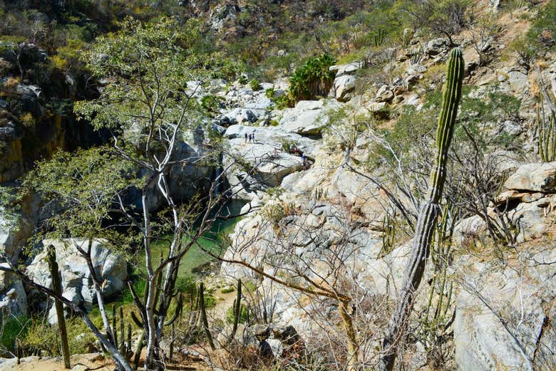 Imagen 18