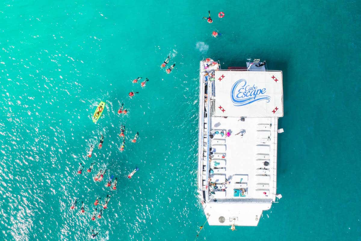 Paseo en catamarán por el Mar de Cortés