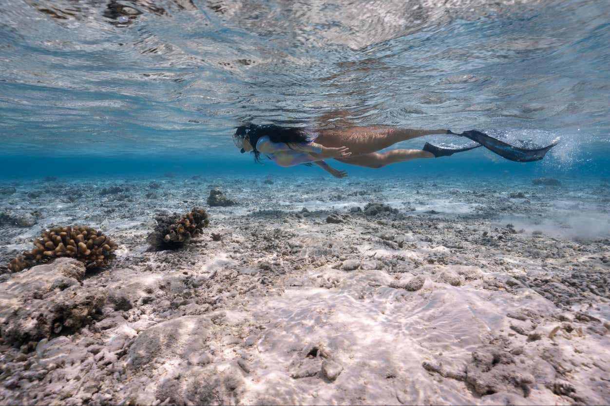 Excursión privada desde Los Cabos