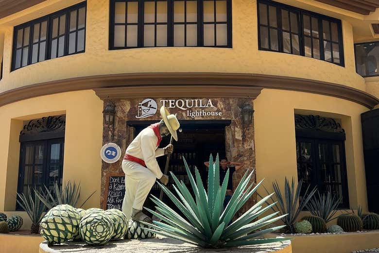 Clase de coctelería en Los Cabos