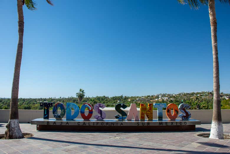 Imagen 6