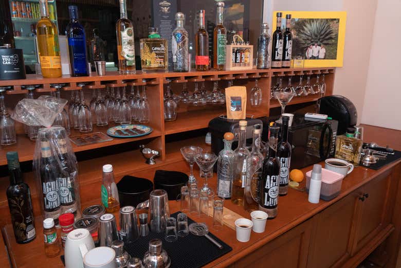 Clase de coctelería en Los Cabos