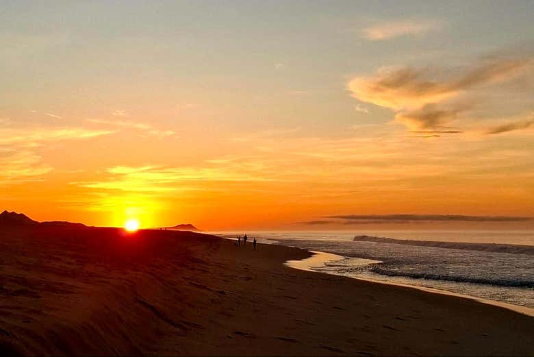 Tour por San José del Cabo al amanecer + Desayuno