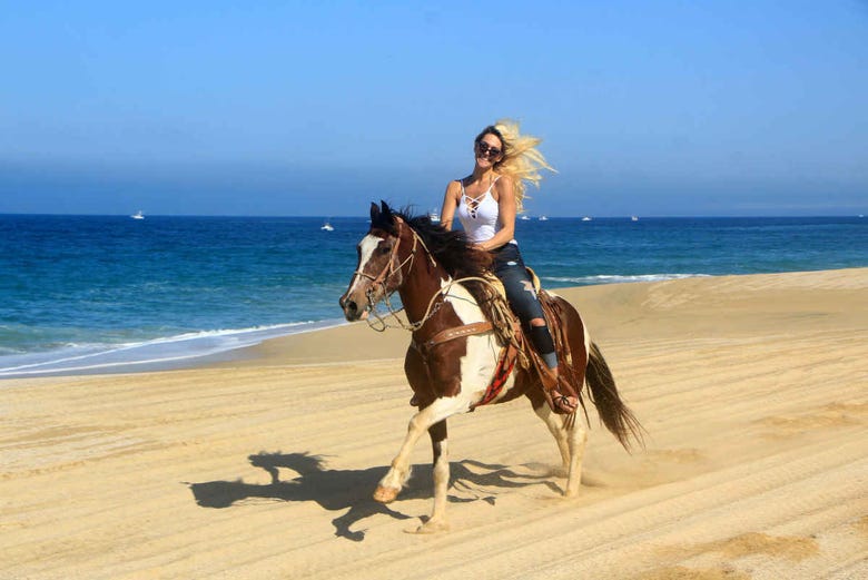 Paseo a caballo por el desierto de Los Cabos