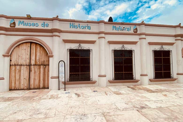 Free tour por Cabo San Lucas