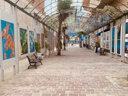 Free tour por Cabo San Lucas