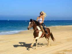 Paseo a caballo por el desierto de Los Cabos