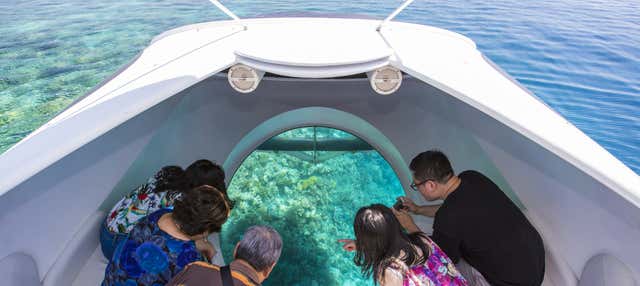 Giro in barca con fondo di vetro