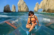 Los Cabos Crystal-Clear Boat Tour