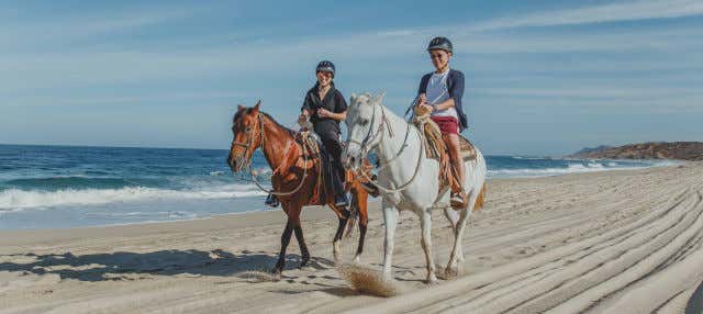 Passeggiata a cavallo nel deserto di Los Cabos