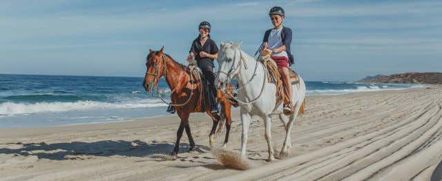 Balade à cheval dans le désert de Los Cabos