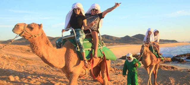 Giro in cammello nel deserto di Los Cabos