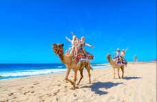 Camel Ride in the Los Cabos Desert