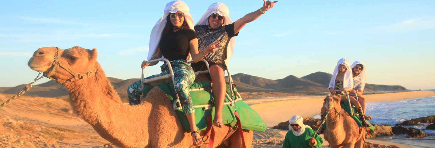 Giro in cammello nel deserto di Los Cabos