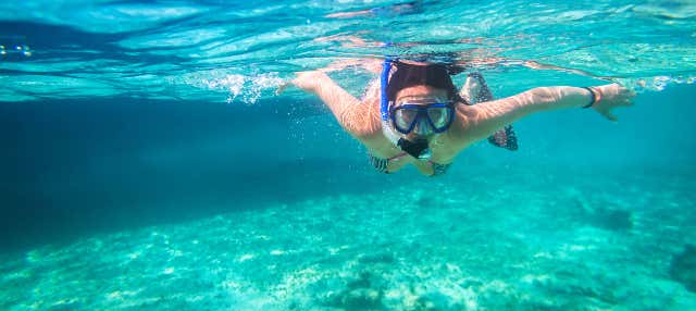 Snorkeling a Los Cabos