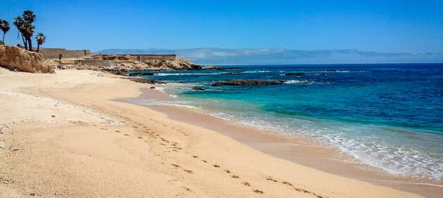 Tour delle spiagge di Los Cabos