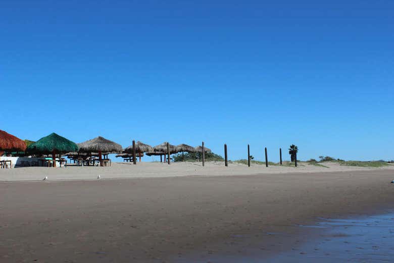 Imagen 5