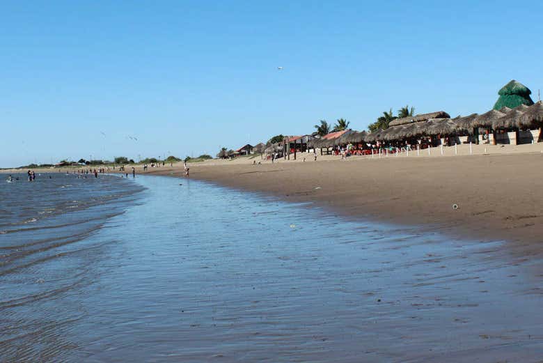 Imagen 6