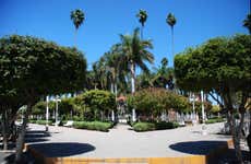 Los Mochis Tour