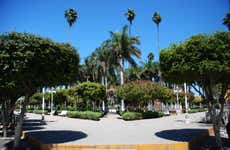 Los Mochis Tour & Topolobampo Bay Boat Ride